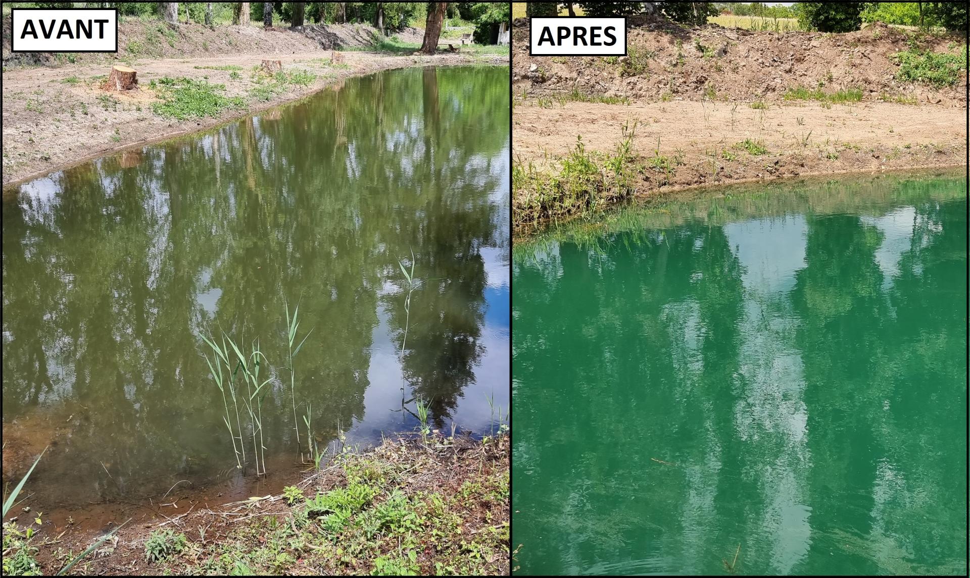 Bleu marine avant apres