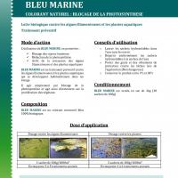 Bleu marine