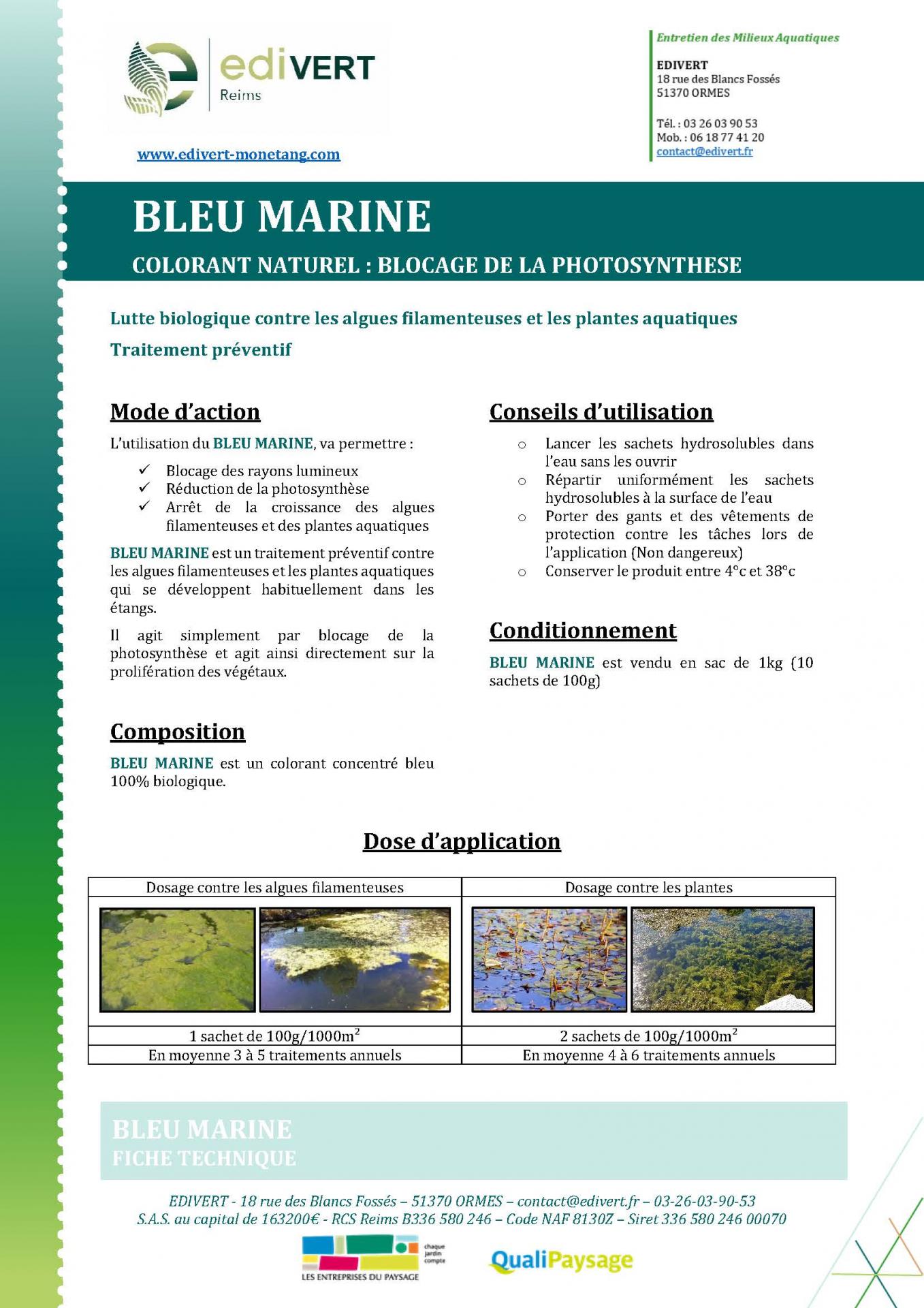 Bleu marine