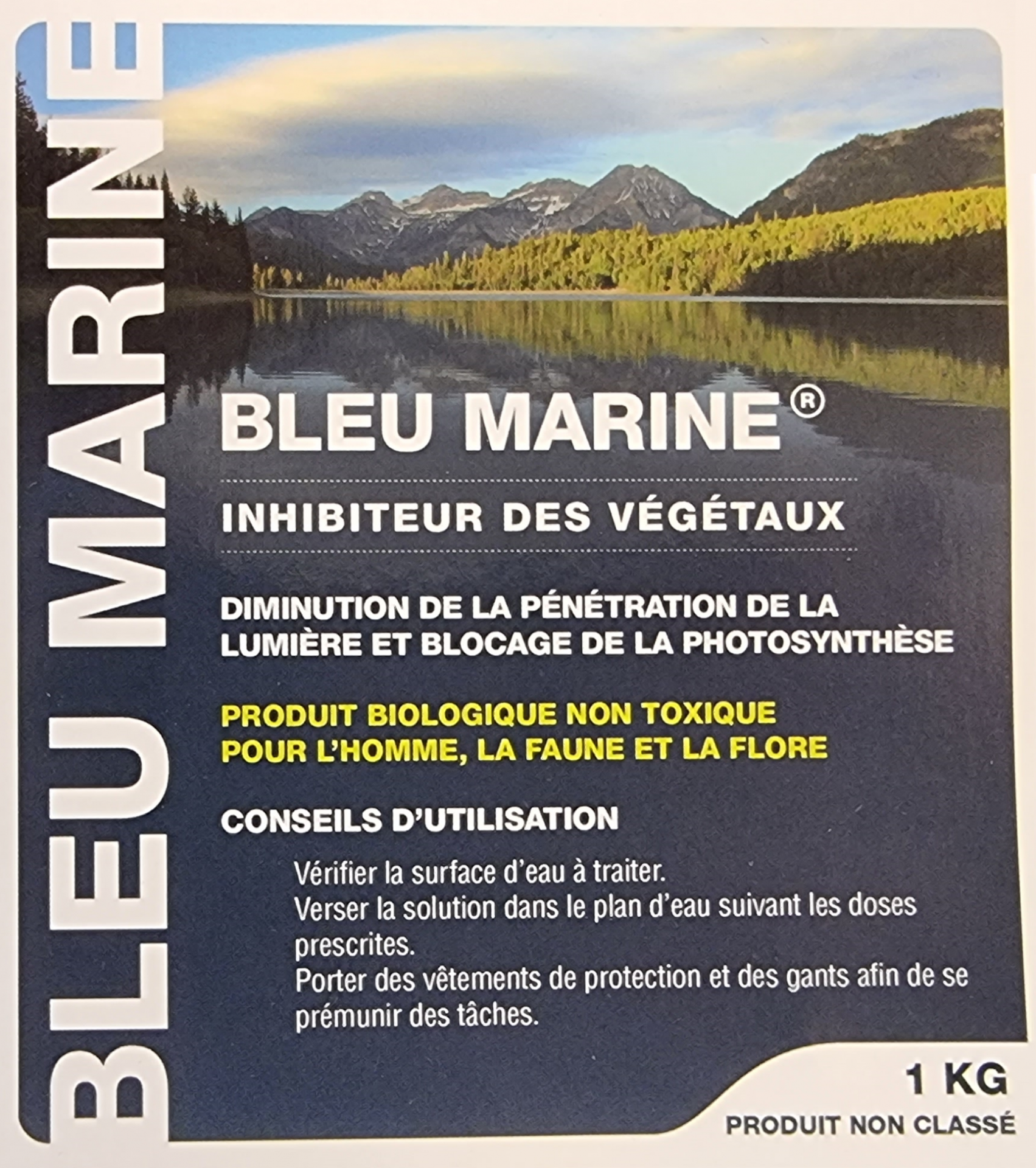 Bleu marine